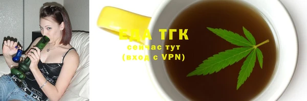 тгк Снежинск