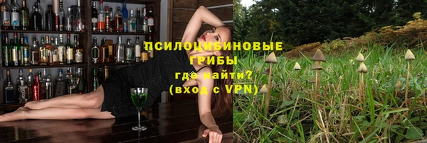 сатива Краснослободск