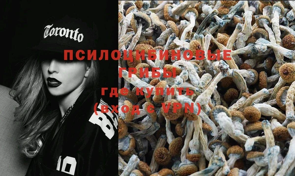 стафф Володарск