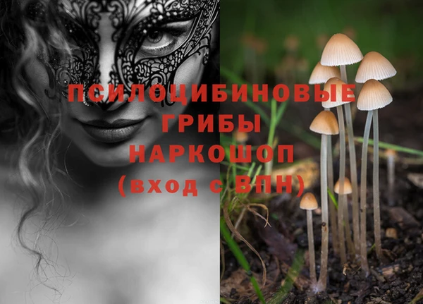тгк Снежинск